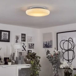 Plafonnier Ral Led Argente, Blanc, 1 Lumiere, Telecommandes, Changeur De Couleurs