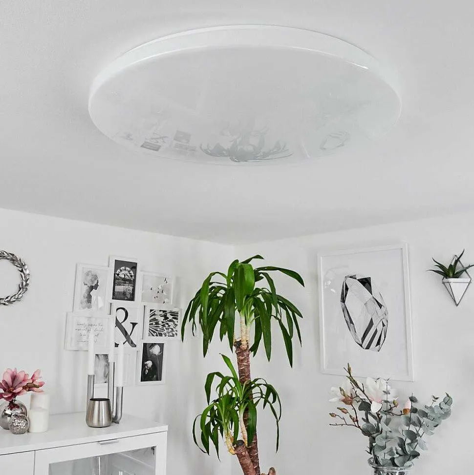 Plafonnier Sweet Led Blanc, 1 Lumiere, Telecommandes