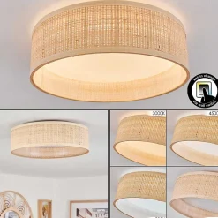 Plafonnier Wynona Led Blanc, 1 Lumiere