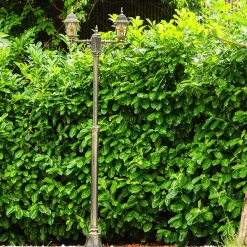 Reverbere Antibes Brun Dore, 2 Lumieres