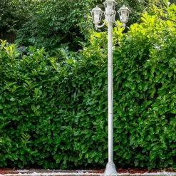 Reverbere Natal Or, Blanc, 3 Lumieres