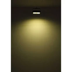 Spot De Jardin Globo Solar Led Noir, 1 Lumiere