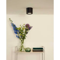 Spot De Plafond Lucide Fedler Noir, 1 Lumiere