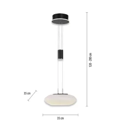 Suspension Paul Neuhaus Q-Etienne Led Noir, 1 Lumiere, Telecommandes