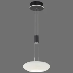 Suspension Paul Neuhaus Q-Etienne Led Noir, 1 Lumiere, Telecommandes