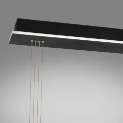 Suspension Paul Neuhaus Q-Etienne Led Noir, 2 Lumieres, Telecommandes