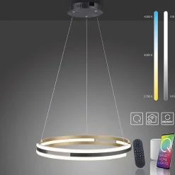 Suspension Paul Neuhaus Q-Beluga Led Or, 1 Lumiere, Telecommandes
