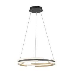 Suspension Paul Neuhaus Q-Beluga Led Or, 1 Lumiere, Telecommandes