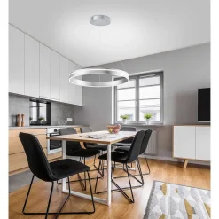 Suspension Paul Neuhaus Q-Vito Led Acier Inoxydable, 1 Lumiere, Telecommandes