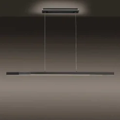 Suspension Paul-Neuhaus Q-Arian Led Anthracite, 4 Lumieres, Telecommandes