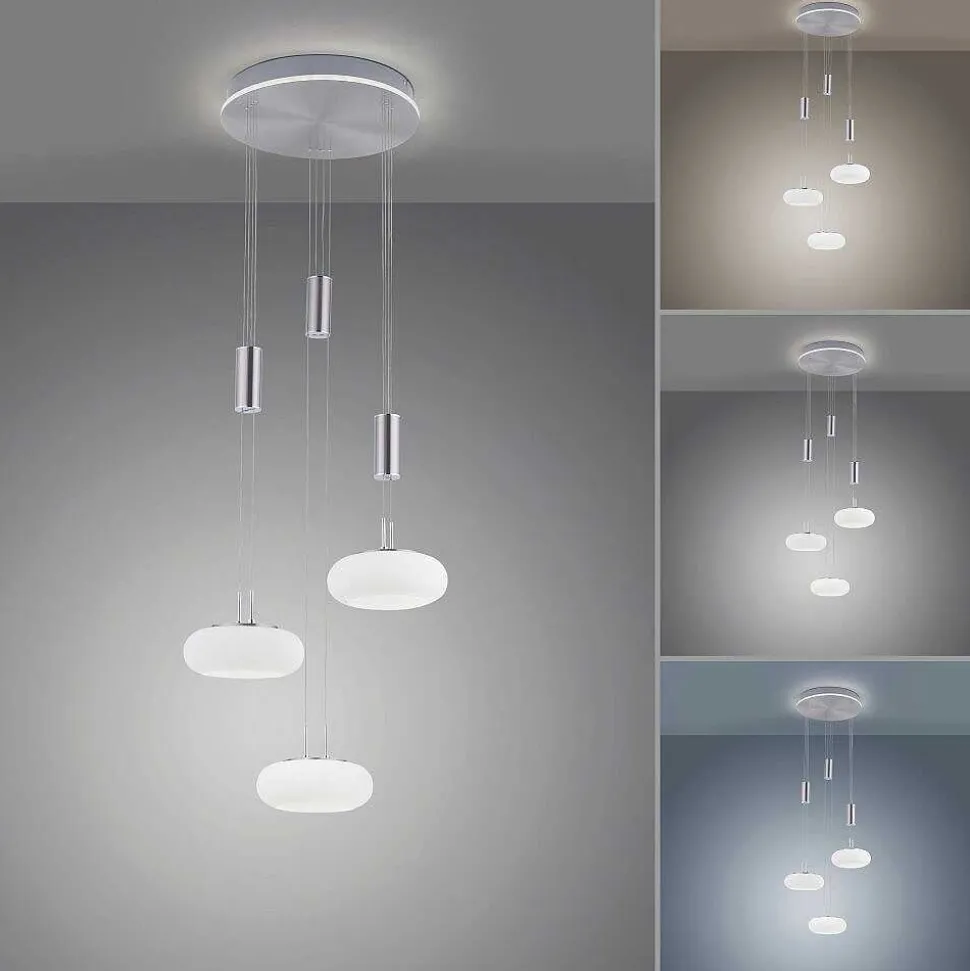 Suspension Paul-Neuhaus Q-Etienne Led Acier Brosse, 4 Lumieres, Telecommandes