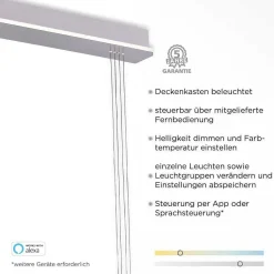 Suspension Paul-Neuhaus Q-Etienne Led Acier Brosse, 3 Lumieres, Telecommandes