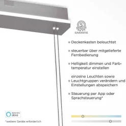 Suspension Paul-Neuhaus Q-Etienne Led Acier Brosse, 4 Lumieres, Telecommandes