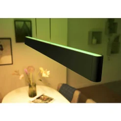 Suspension Philips Hue White & Color Ambiance Ensis Led Noir, 2 Lumieres, Changeur De Couleurs