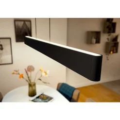 Suspension Philips Hue White & Color Ambiance Ensis Led Noir, 2 Lumieres, Changeur De Couleurs