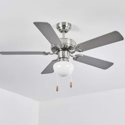 Ventilateur De Plafond Apiao Brun, Couleur Bois, Argente, 1 Lumiere