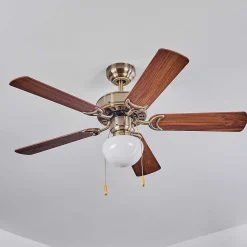 Ventilateur De Plafond Apiao Brun, Brun Clair, Couleur Bois, Argente, 1 Lumiere