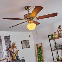 Ventilateur De Plafond Apiao Brun, Brun Clair, Couleur Bois, Argente, 1 Lumiere