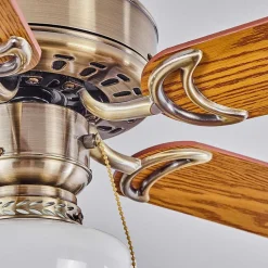 Ventilateur De Plafond Apiao Brun, Brun Clair, Couleur Bois, Argente, 1 Lumiere