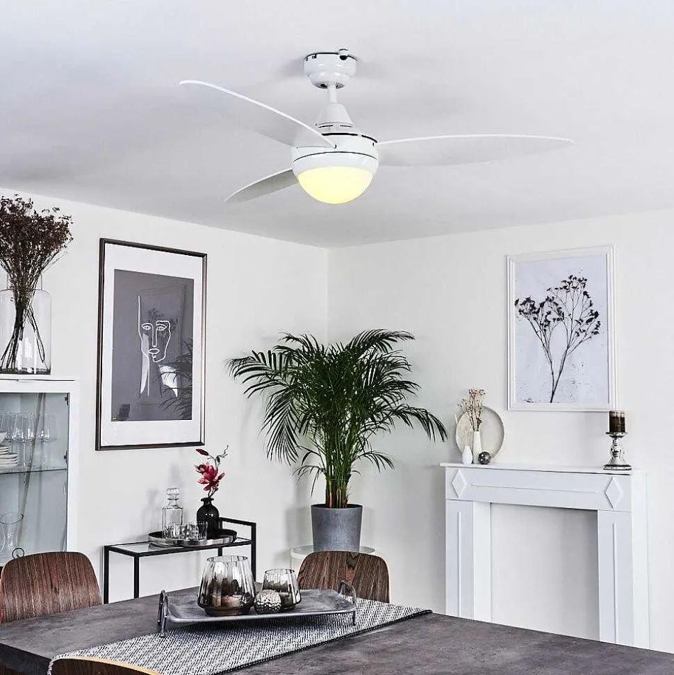 Ventilateur De Plafond Beltiglio Bois Fonce, Blanc, 2 Lumieres, Telecommandes