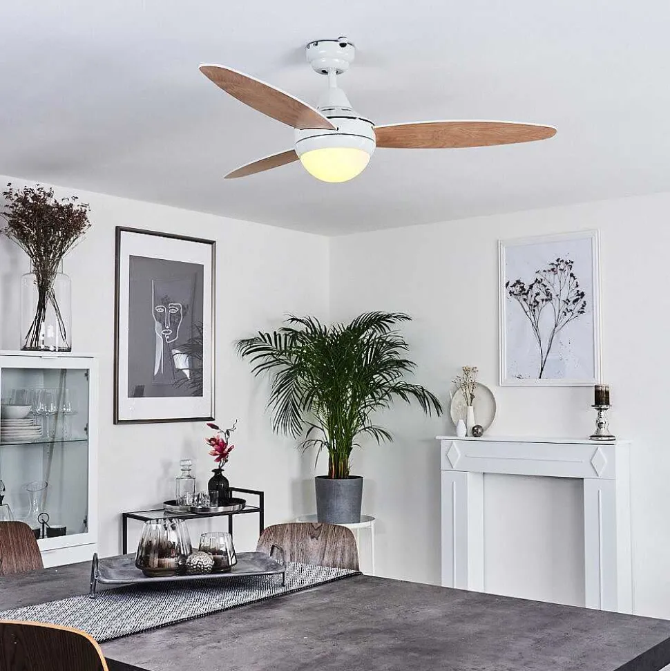 Ventilateur De Plafond Beltiglio Bois Fonce, Blanc, 2 Lumieres, Telecommandes