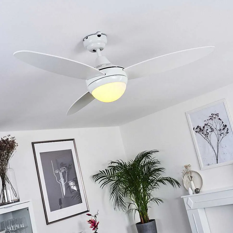 Ventilateur De Plafond Beltiglio Bois Fonce, Blanc, 2 Lumieres, Telecommandes