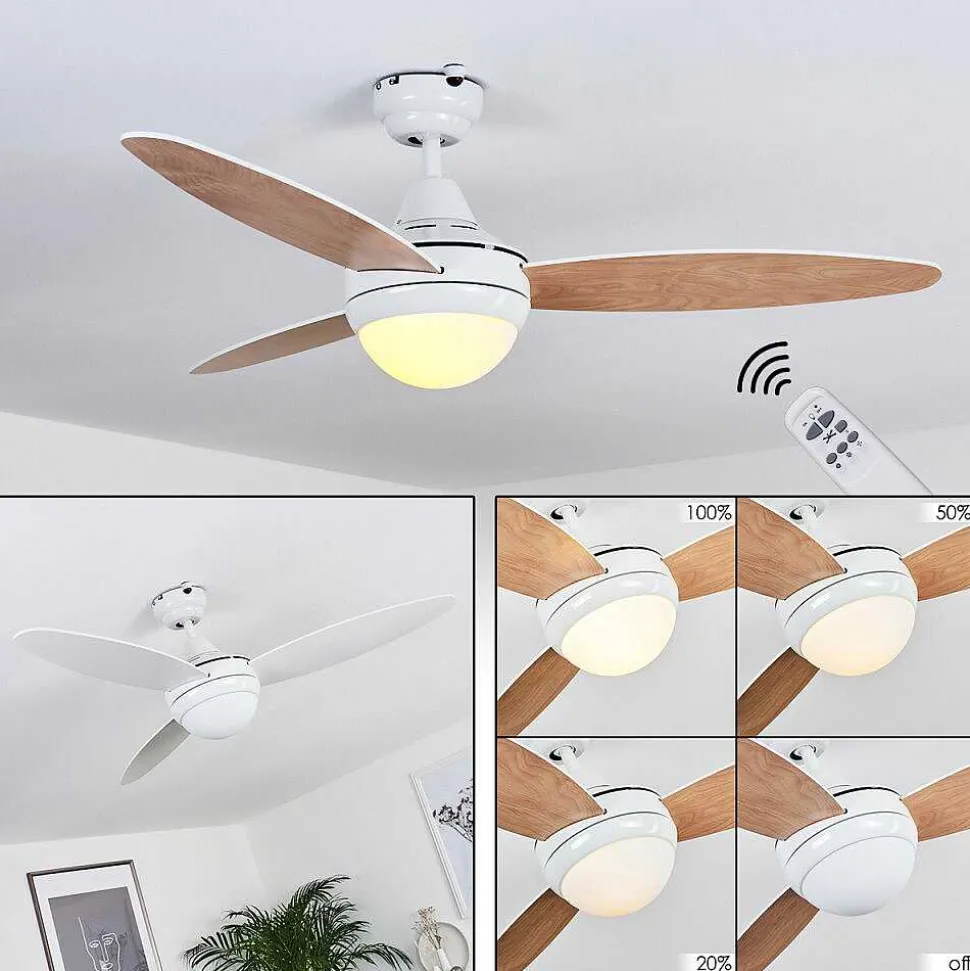 Ventilateur De Plafond Beltiglio Bois Fonce, Blanc, 2 Lumieres, Telecommandes