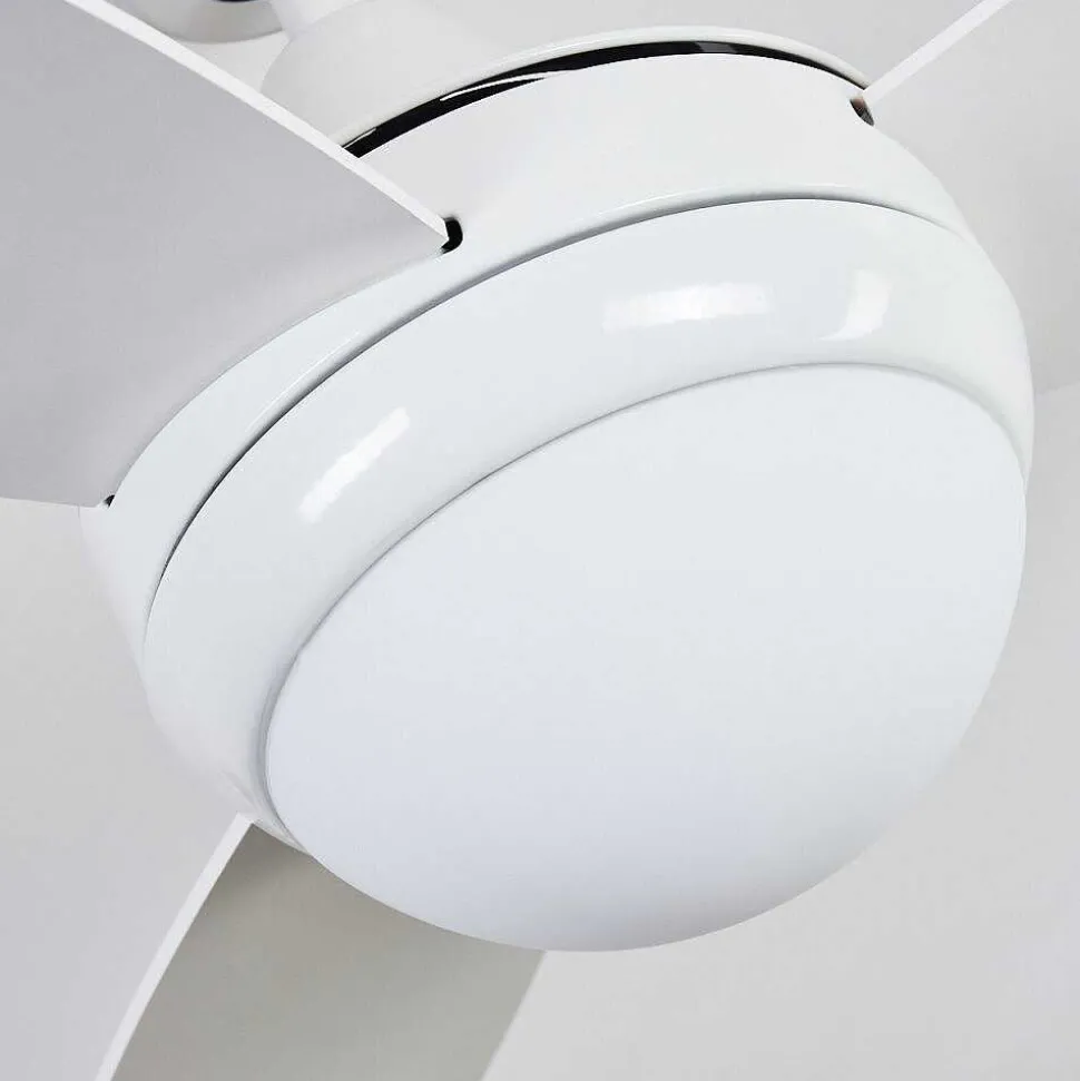 Ventilateur De Plafond Beltiglio Bois Fonce, Blanc, 2 Lumieres, Telecommandes