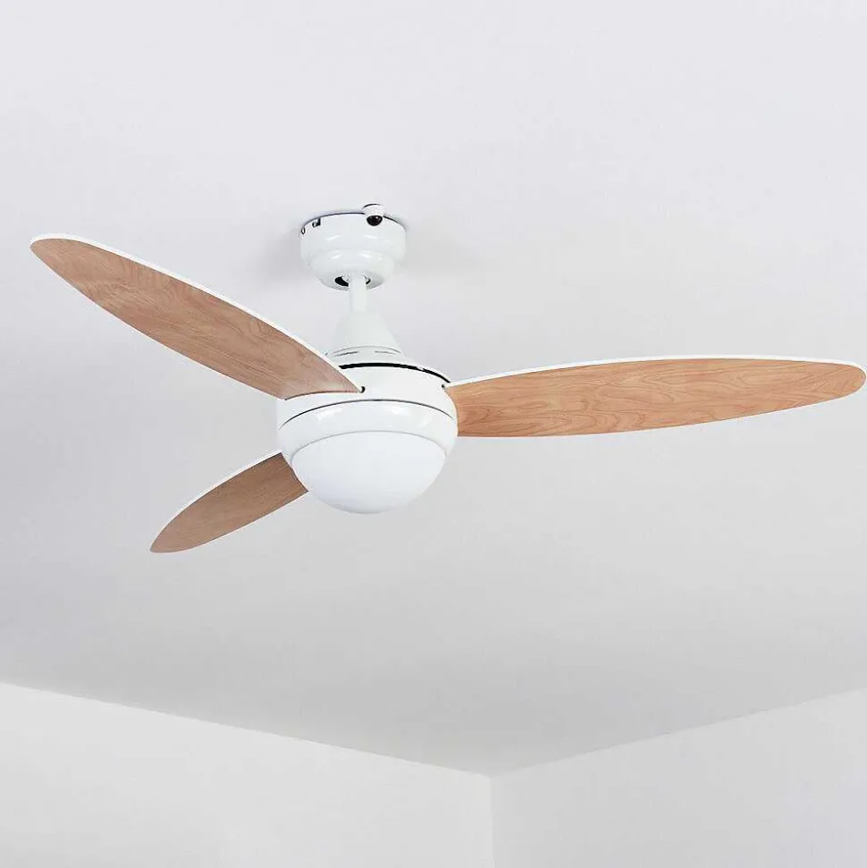 Ventilateur De Plafond Beltiglio Bois Fonce, Blanc, 2 Lumieres, Telecommandes