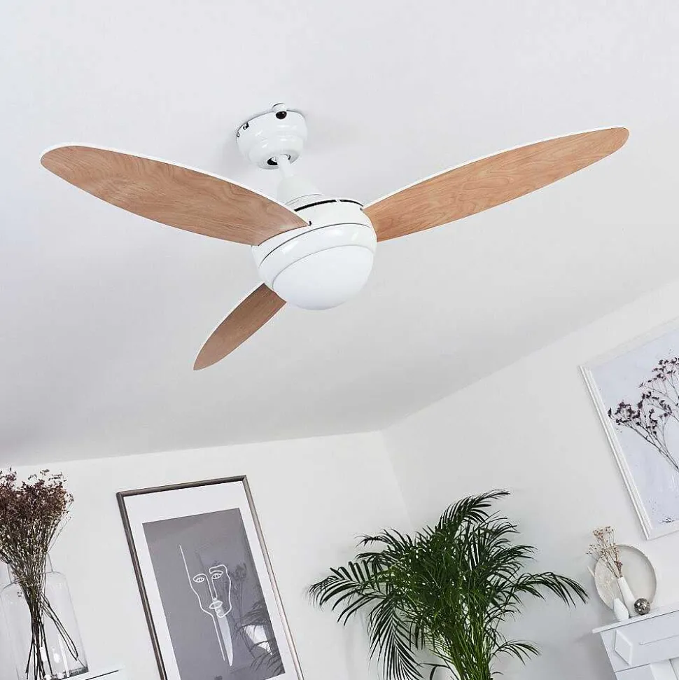 Ventilateur De Plafond Beltiglio Bois Fonce, Blanc, 2 Lumieres, Telecommandes