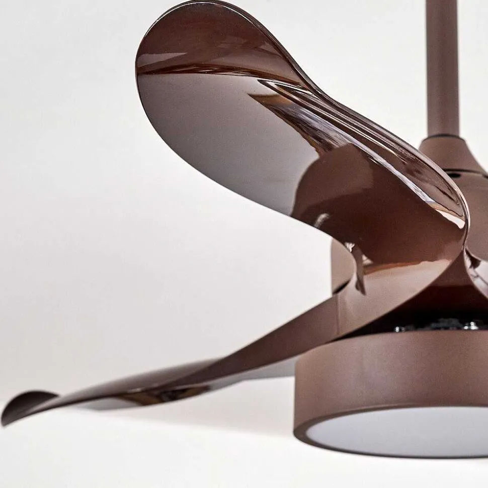 Ventilateur De Plafond Doha Led Brun, 1 Lumiere, Telecommandes