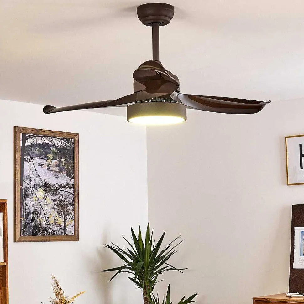 Ventilateur De Plafond Doha Led Brun, 1 Lumiere, Telecommandes