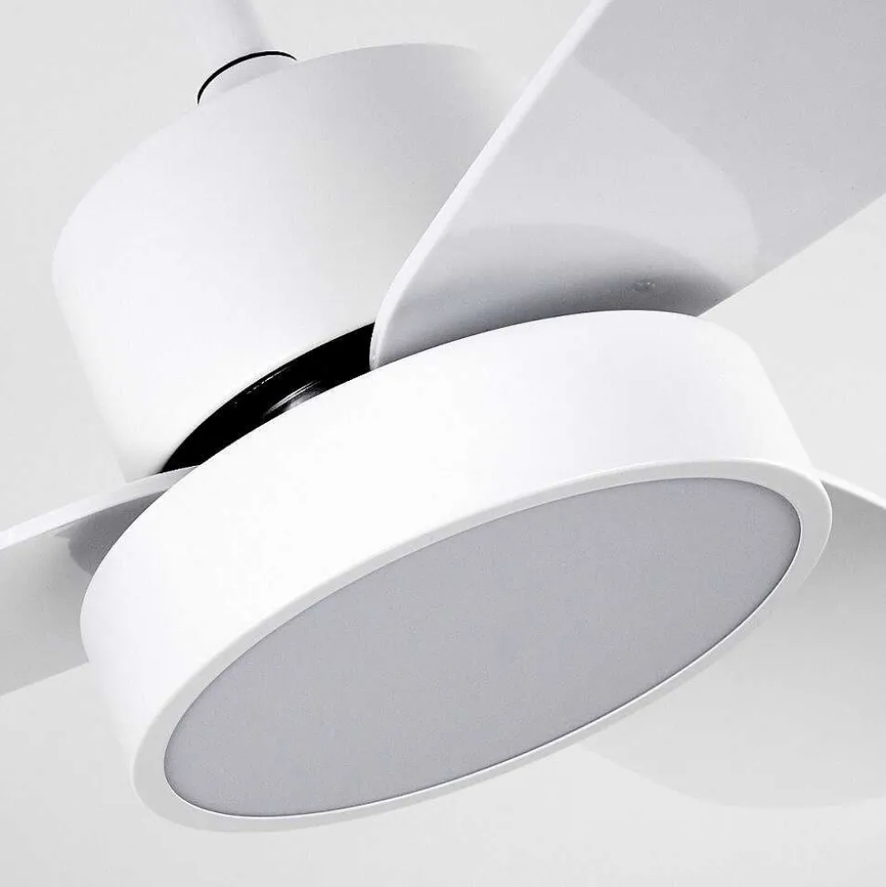 Ventilateur De Plafond Doha Led Blanc, 1 Lumiere, Telecommandes
