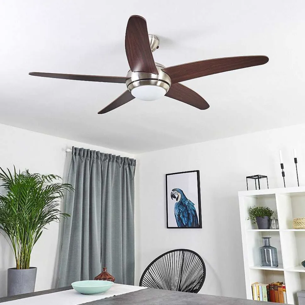 Ventilateur De Plafond Imon Bois Fonce, Nickel Mat, 1 Lumiere, Telecommandes