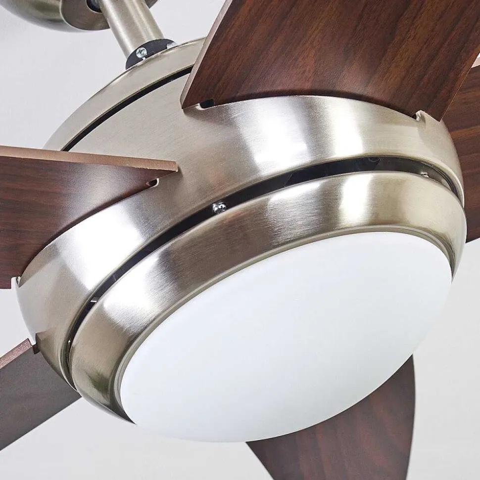 Ventilateur De Plafond Imon Bois Fonce, Nickel Mat, 1 Lumiere, Telecommandes