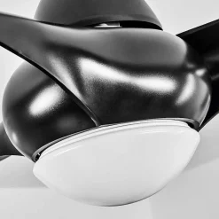 Ventilateur De Plafond Malloa Led Noir, 1 Lumiere, Telecommandes