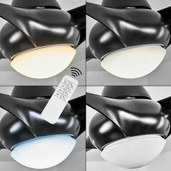 Ventilateur De Plafond Malloa Led Noir, 1 Lumiere, Telecommandes