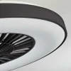 Ventilateur De Plafond Qualiano Led Noir, Blanc, 1 Lumiere, Telecommandes