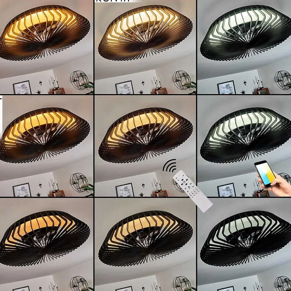 Ventilateur De Plafond Rivarotta Led Blanc, 1 Lumiere, Telecommandes