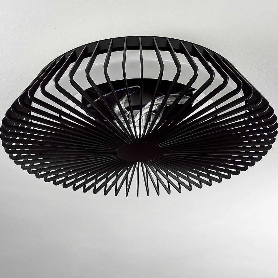 Ventilateur De Plafond Rivarotta Led Blanc, 1 Lumiere, Telecommandes