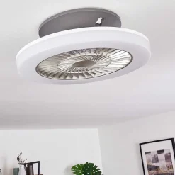 Ventilateur De Plafond Somalia Led Argente, Transparent, 1 Lumiere