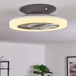 Ventilateur De Plafond Somalia Led Argente, Transparent, 1 Lumiere