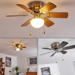 Ventilateur De Plafond Trillo Nickel Mat, 1 Lumiere