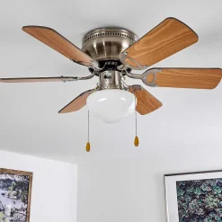 Ventilateur De Plafond Trillo Nickel Mat, 1 Lumiere