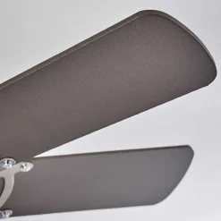 Ventilateur De Plafond Trillo Nickel Mat, 1 Lumiere