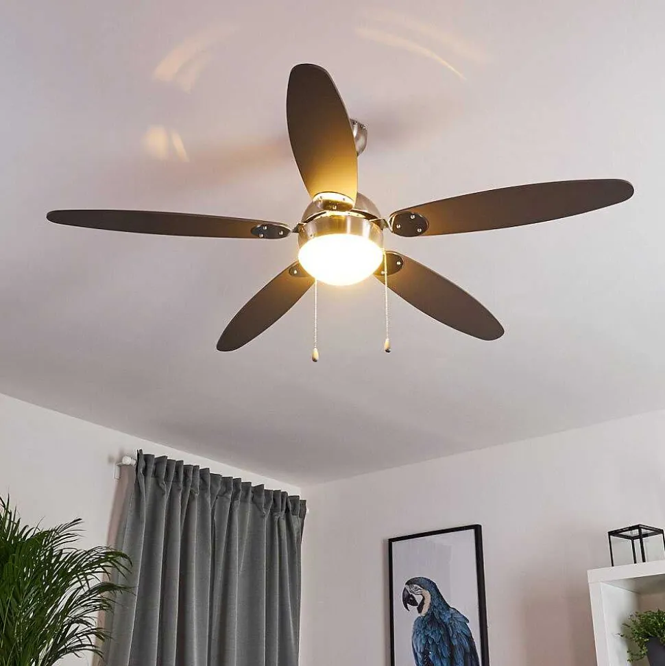 Ventilateur De Plafond Valeria Chrome, Bois Clair, Nickel Mat, 1 Lumiere