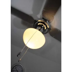 Ventilateur Globo Champion Chrome, Acier Inoxydable, Blanc, 1 Lumiere