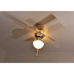 Ventilateur Globo Champion Chrome, Acier Inoxydable, Blanc, 1 Lumiere