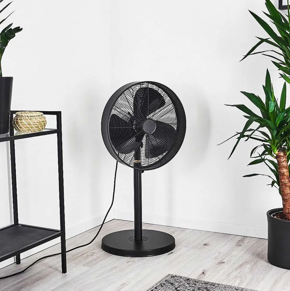 Ventilateur Markham Bois Clair, Noir