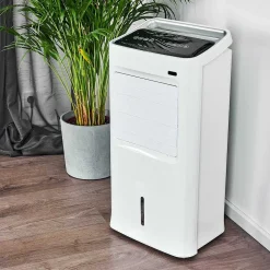 Ventilateur Scottsdale Blanc, Telecommandes